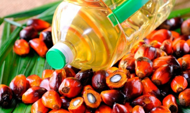 В Украине хотят запретить использование пальмового масла в пищевой промышленности