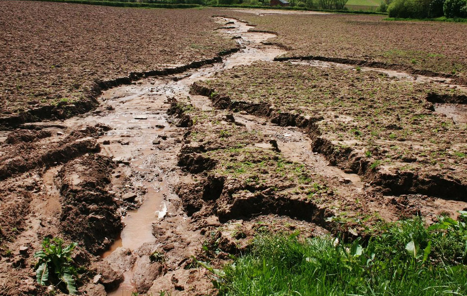 Ежегодный ущерб от деградации почв составляет до 40 млрд грн