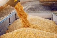 Динамика цен на зерновые и масличные по состоянию на 3 сентября