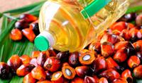 В Украине хотят запретить использование пальмового масла в пищевой промышленности